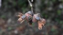 thumbs_b_c_6e16524b9edb1bec26fb974775080f22