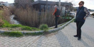 20250129aw379808-0-540x405 (1)