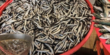 20250130aw380539-0-540x304