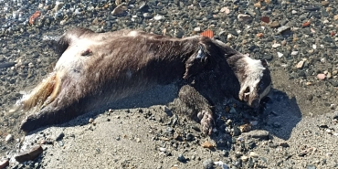 2d754235-0354-49ee-8e39-787e83a2c9f9