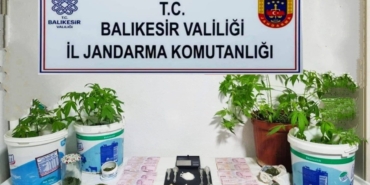 JANDARMA'DAN 6 İLÇEDE UYUŞTURUCU OPERASYONU