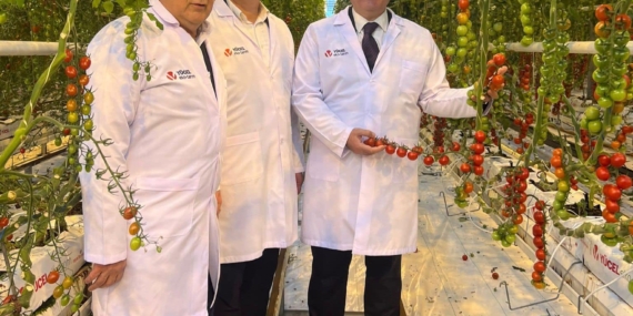 Mustafa Canbey: “Gönen Sera OSB, Balıkesir’i ve Türkiye’yi tarımın yıldızı yapacak”