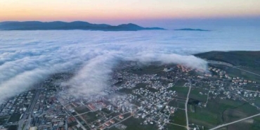 20250202aw382481-0-1-540x304