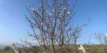 20250202aw382682-0-540x405