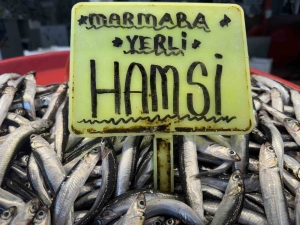 KAR YAĞIŞININ ARDINDAN TEZGAHLARDA SON DURUM: HAMSİ 400 TL, SARDALYA 200 TL RAMAZAN ÖNCESİ BALIK FİYATLARI