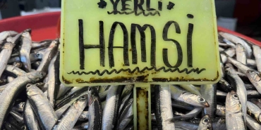 KAR YAĞIŞININ ARDINDAN TEZGAHLARDA SON DURUM: HAMSİ 400 TL, SARDALYA 200 TL RAMAZAN ÖNCESİ BALIK FİYATLARI