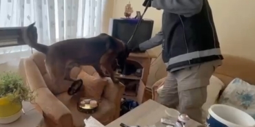 BALIKESİR’DE UYUŞTURUCU OPERASYONU: 11 GÖZALTI