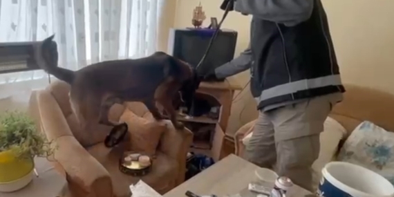 Balıkesir’de uyuşturucu operasyonu: 11 gözaltı