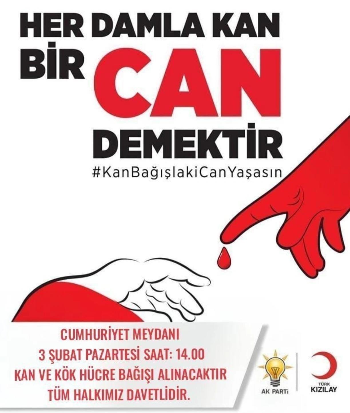 WhatsApp Image 2025-02-02 at 16.23.31