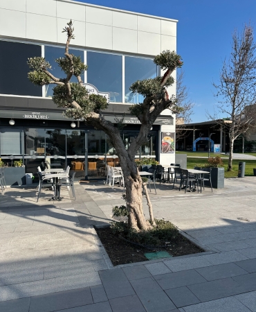 WhatsApp Image 2025-02-25 at 12.22.12