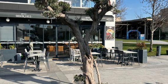 Yücel Yılmaz’ın 590 Milyonluk İsraf Ağaçları