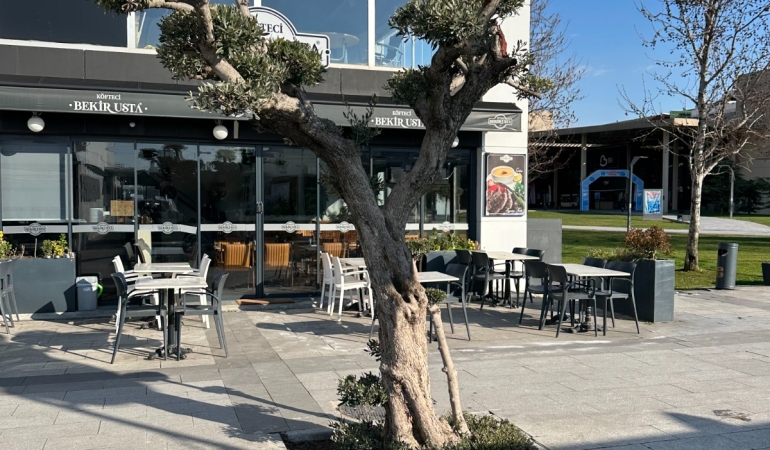 Yücel Yılmaz’ın 590 Milyonluk İsraf Ağaçları