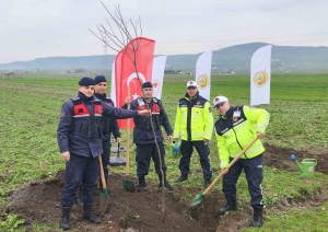 BALIKESİR'DE AĞAÇLANDIRMA ÇALIŞMALARI DEVAM EDİYOR