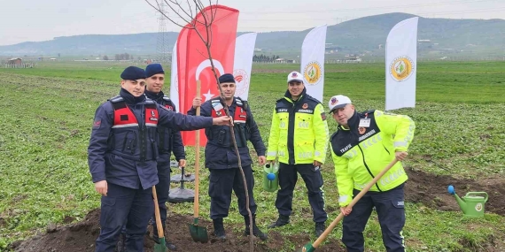 Balıkesir’de ağaçlandırma çalışmaları devam ediyor