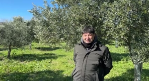 TÜRKİYE’DE SOĞUK HAVA ZEYTİN ÜRETİCİLERİNİ SEVİNDİRDİ