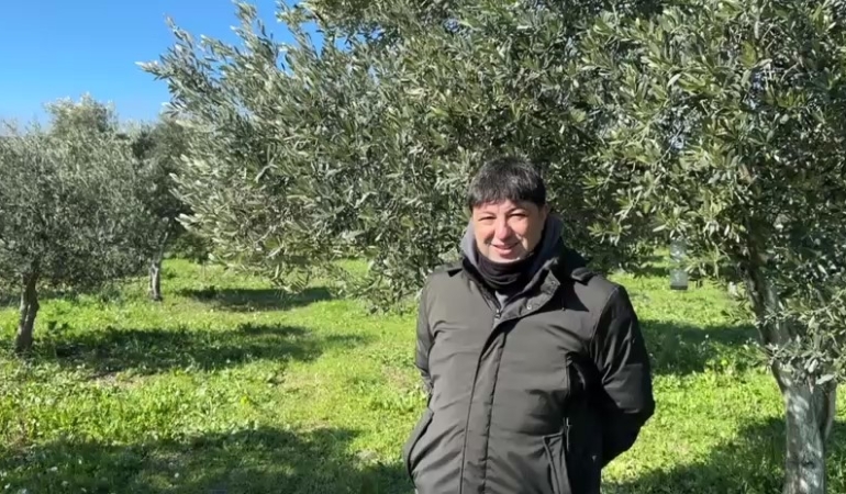 Türkiye’de soğuk hava zeytin üreticilerini sevindirdi