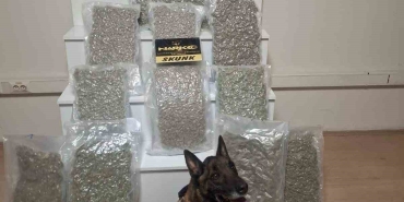 20250312aw410656-0-e1741772953938