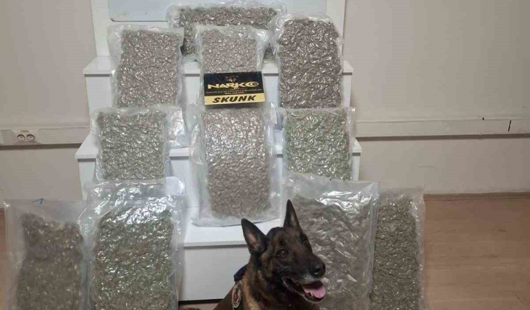 Balıkesir’de 12 kilo esrar ele geçirildi