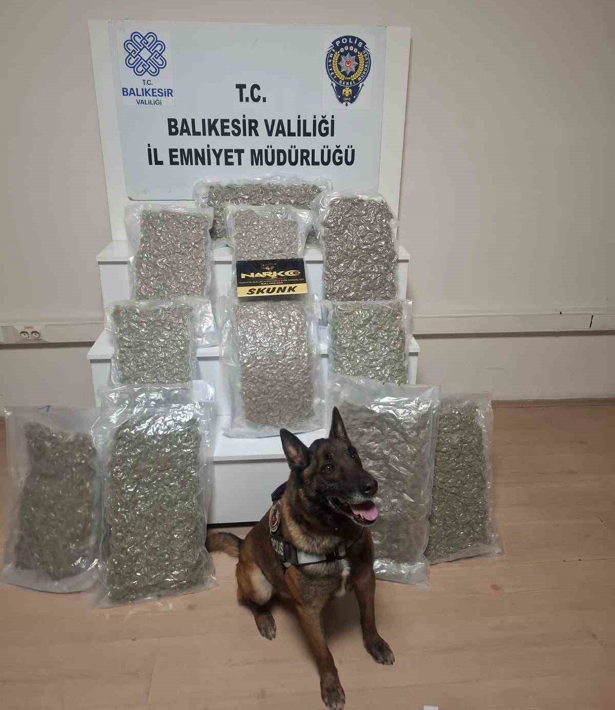 20250312aw410656-0-e1741772953938