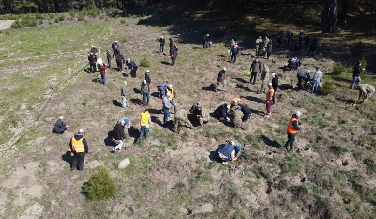Kazdağları’nda Dünya Ormancılık Günü’nde bin fidan toprakla buluştu