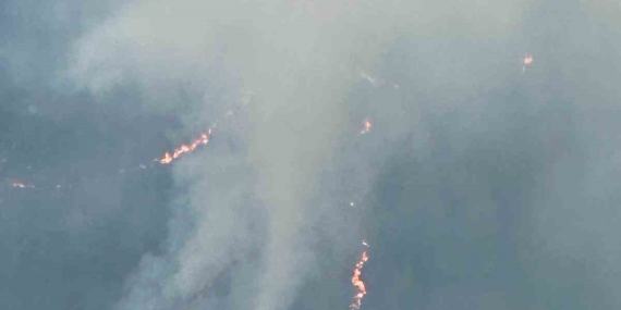 Balıkesir’de orman yangınına müdahale sürüyor