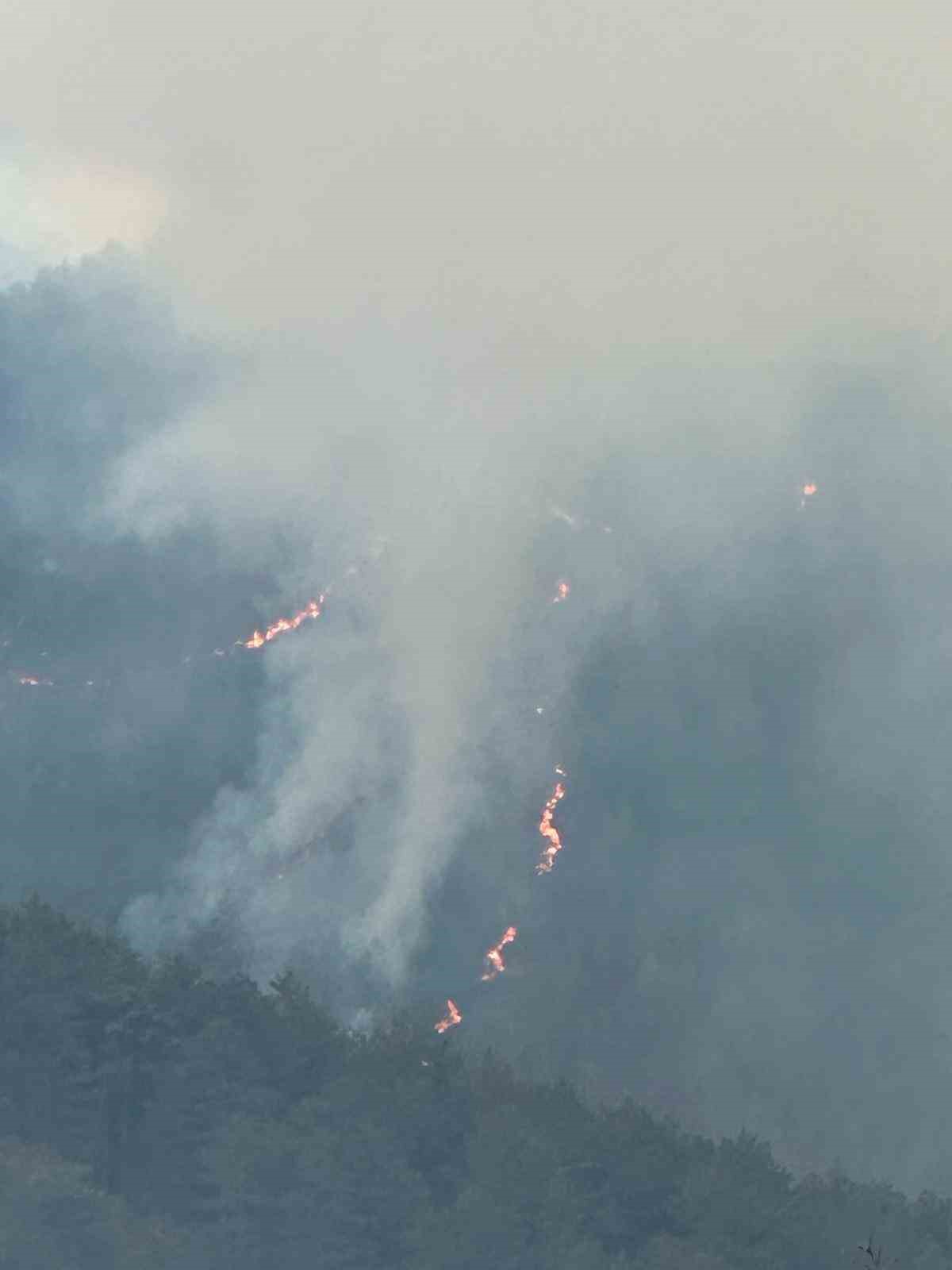 BALIKESİR'DE ORMAN YANGINI