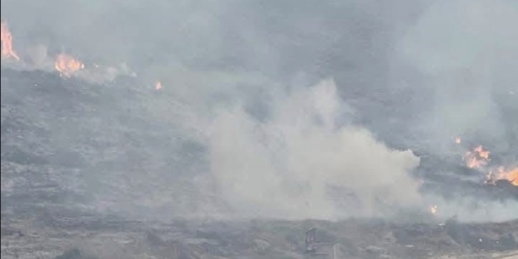 Avşa Adası’nda çıkan yangın kontrol altına alındı