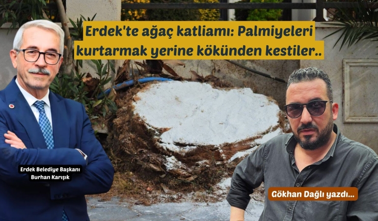 Erdek’te ağaç katliamı: Palmiyeleri kurtarmak yerine kökünden kestiler