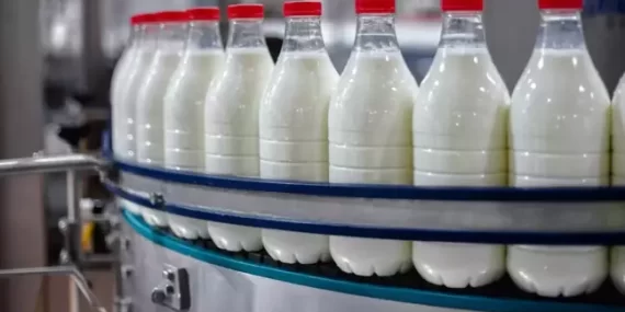 Balıkesir’in 40 Yıllık Süt Devi Konkordato İlan Etti