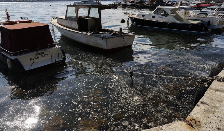 Marmara Denizi’nin kabusu geri döndü: İstanbul’da müsilaj alarmı