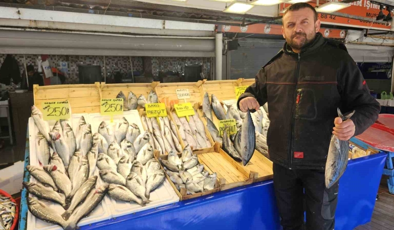 Av yasağı başlıyor ama balık tezgâhları boş kalmayacak