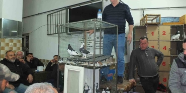 BALIKESİR'DE GÜVERCİN MERAKLILARI BULUŞTU