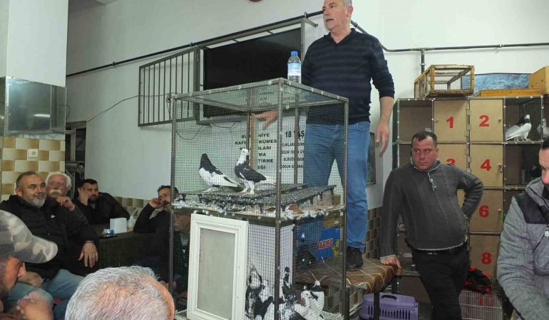 Balıkesir’de güvercin meraklıları buluştu
