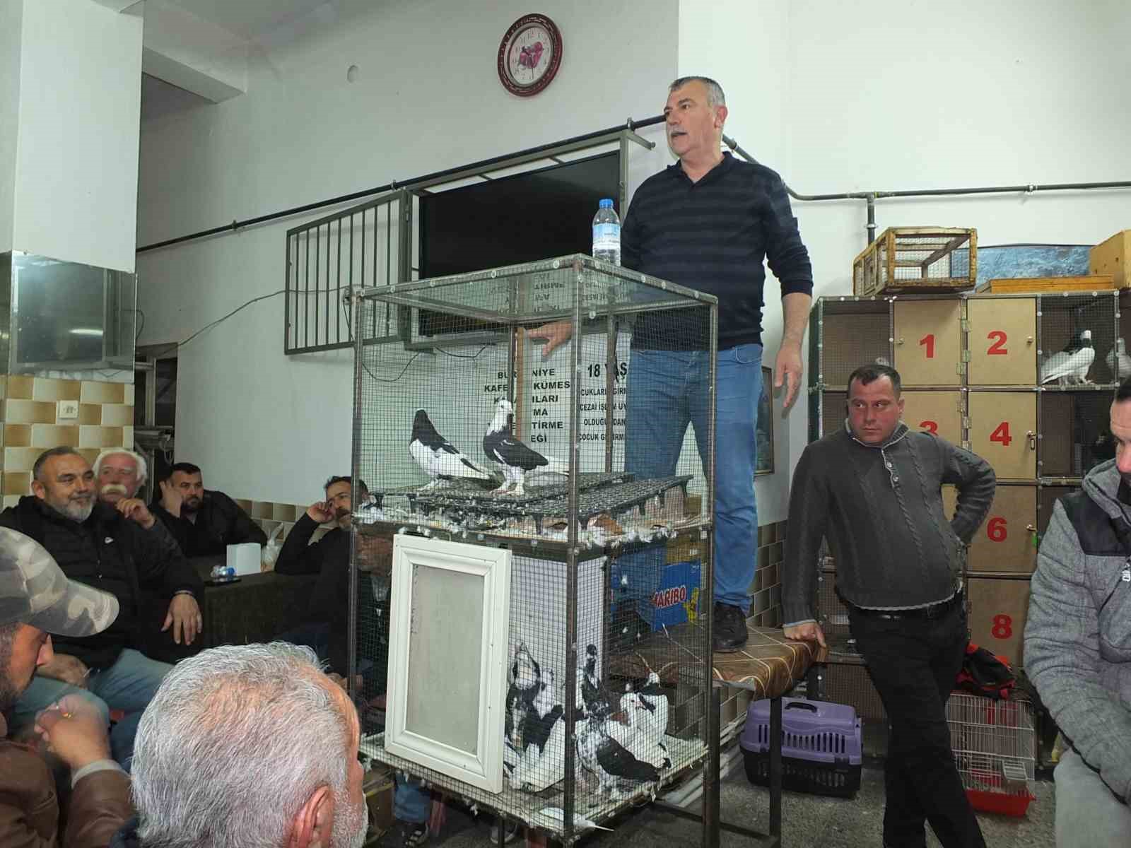 BALIKESİR'DE GÜVERCİN MERAKLILARI BULUŞTU