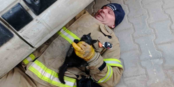 Balıkesir’de aracın içinde sıkışan yavru kedi kurtarıldı