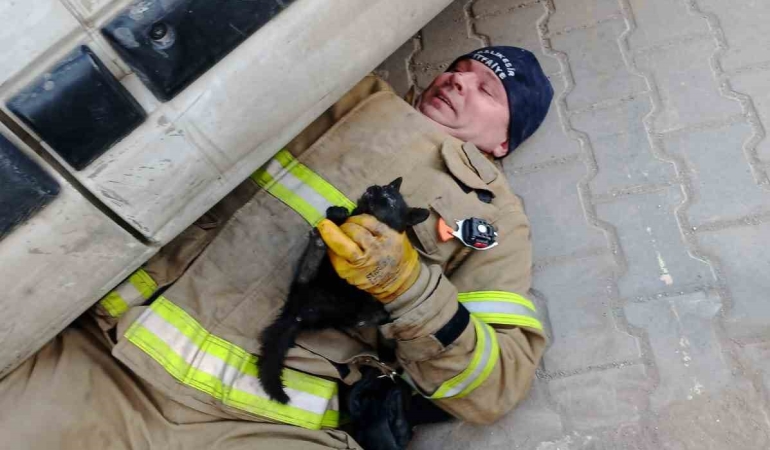 Balıkesir’de aracın içinde sıkışan yavru kedi kurtarıldı