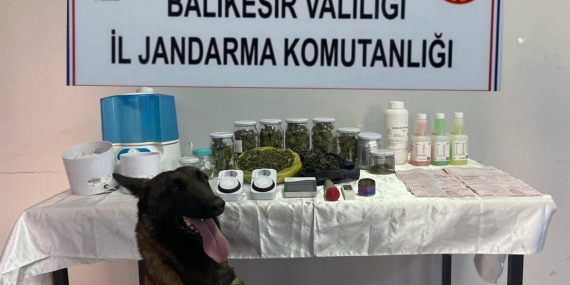 Balıkesir’de jandarmadan kaçakçılık ve uyuşturucuya darbe: 81 Şüpheli hakkında işlem yapıldı