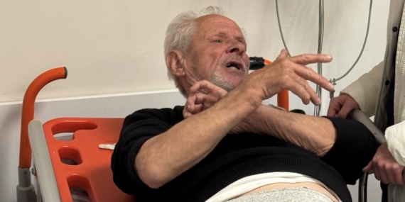 Erdek’te ayı saldırısı: 1 Kişi yaralandı