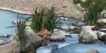 FB19A66B-0677-46A0-AC66-95BA7C048D52