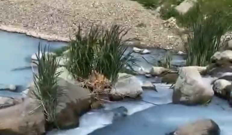 Çerpeş Deresi’nden Gönen Çayı’na kimyasal atık: Marmara Denizi tehlikede