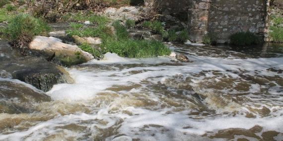 Ketenlik Deresi alarm veriyor: Çevre kirliliği giderek artıyor