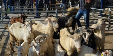 WhatsApp Image 2025-04-30 at 18.10.38