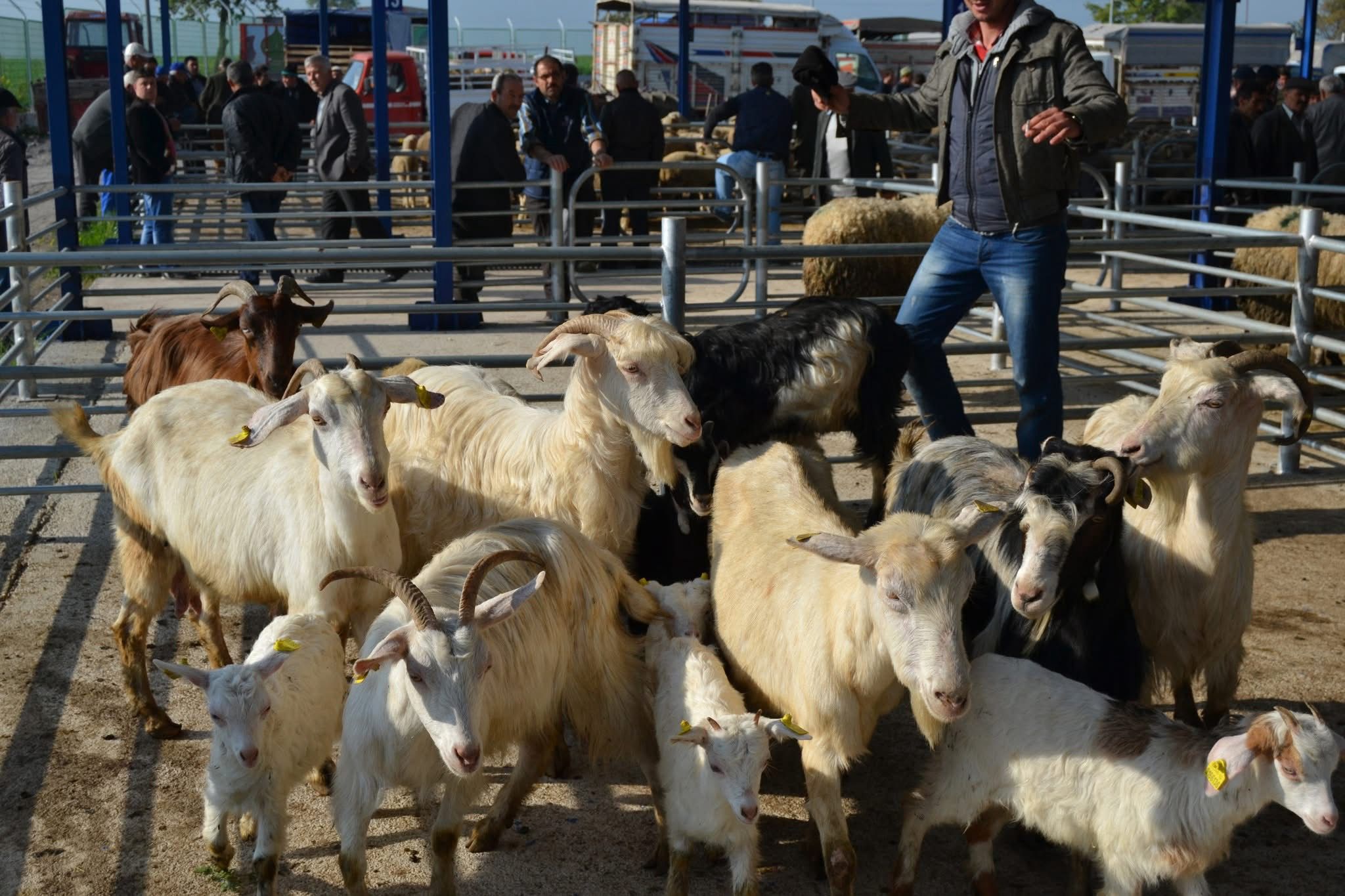 WhatsApp Image 2025-04-30 at 18.10.38