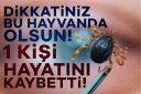 900786-kkka-tanisi-konan-1-kisi-hayatini-kaybetti-68242a8d9d959