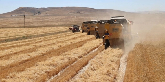 Resmi Gazete’de Yayımlandı: Türkiye Genelinde Tarım Sayımı Yapılacak