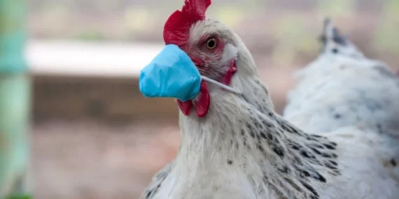 AYM vatandaşa verilen tazminatı yetersiz buldu: Tapu hatasından devlet sorumlu