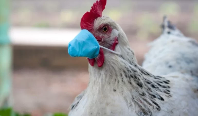AYM vatandaşa verilen tazminatı yetersiz buldu: Tapu hatasından devlet sorumlu