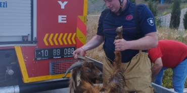 SU KANALINA DÜŞEN KEÇİ İTFAİYE EKİPLERİNCE KURTARILDI