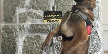 NARKOTİK KÖPEĞİ 'YAŞA' SAYESİNDE 10 KİLO ESRAR YAKALANDI
