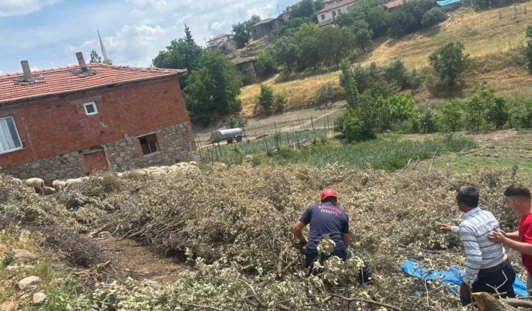 Sındırgı’da koyun damı çöktü, 2 koyun telef oldu